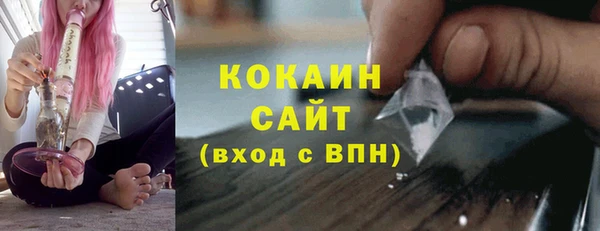 дмт Осташков