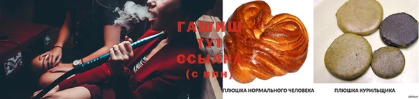 PSILOCYBIN Верхний Тагил