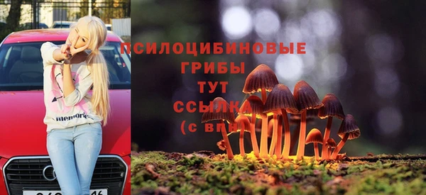 молекула духа Осинники