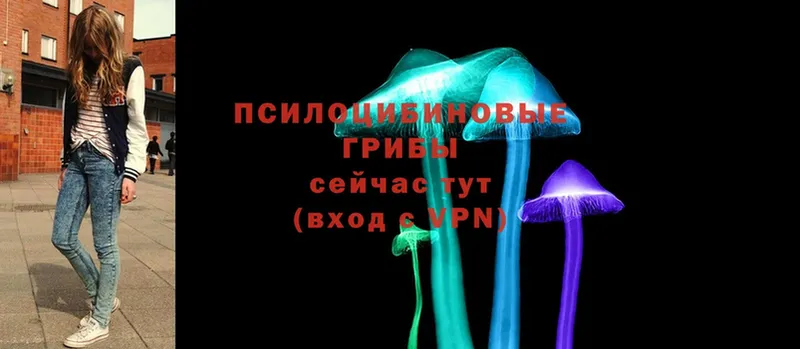 Псилоцибиновые грибы Magic Shrooms  купить   Шелехов 