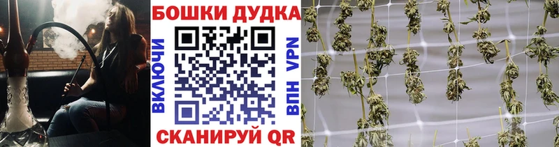 Бошки марихуана Bruce Banner  Шелехов 