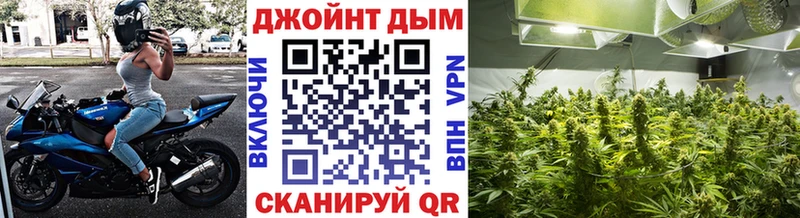 Канабис Amnesia Шелехов